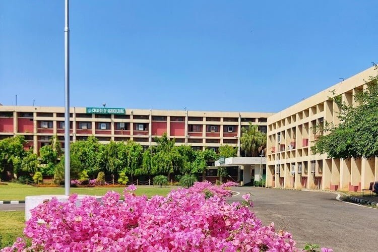View of Ludhiana