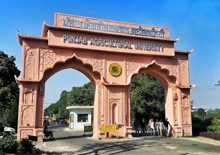 Punjab Agricultural University campus, Ludhiana